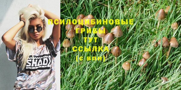 герыч Нязепетровск