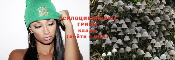 эйфоретик Осинники